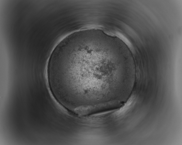 X0000093261055200710031600