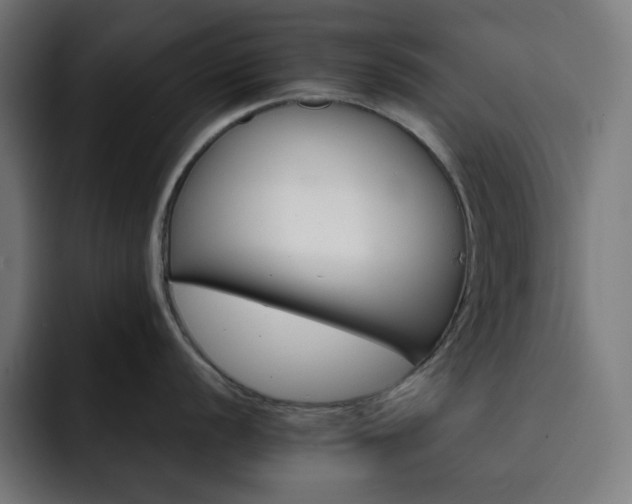 X0000093261056200710031600