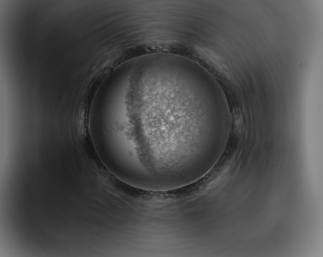 X0000093261060200710031600