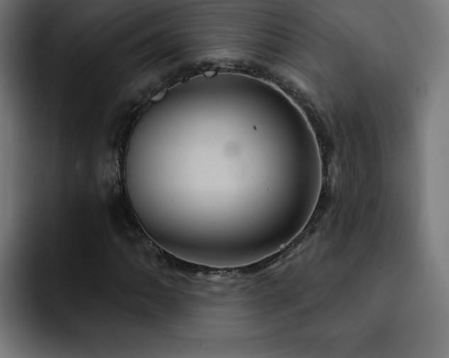 X0000093261062200710031600