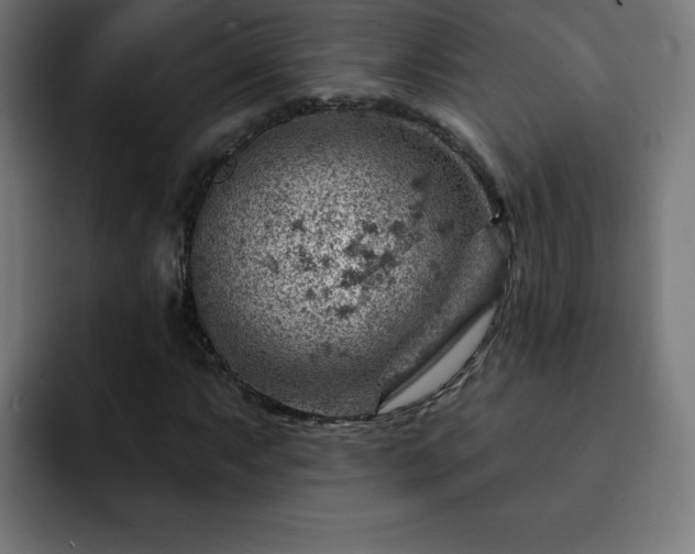 X0000093261063200710031600