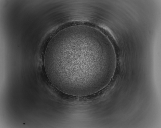 X0000093261064200710031600