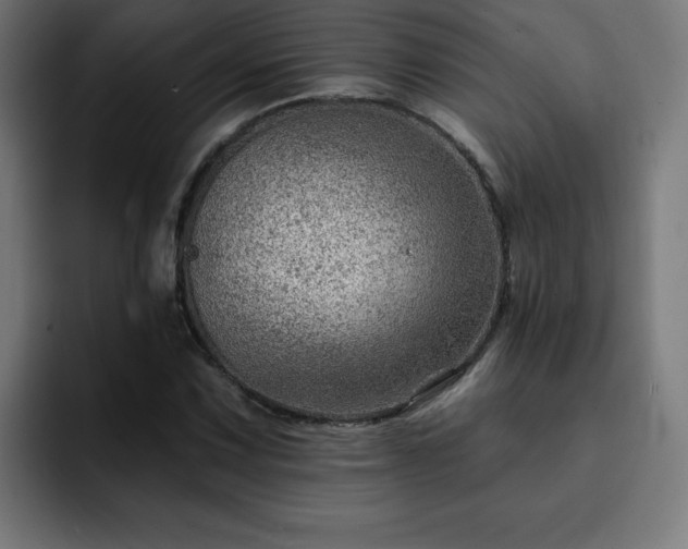 X0000093261067200710031600