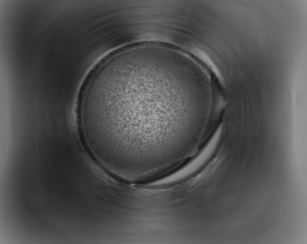 X0000093261068200710031600