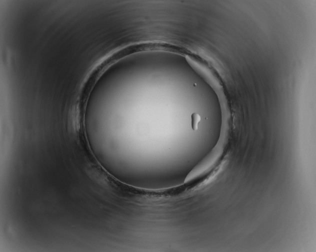 X0000093261069200710031600