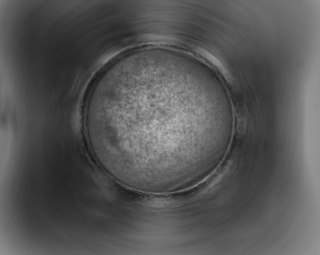 X0000093261074200710031559