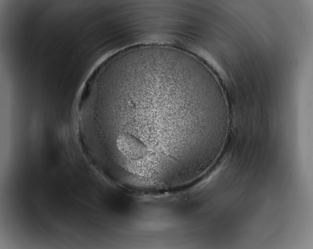 X0000093261075200710031559