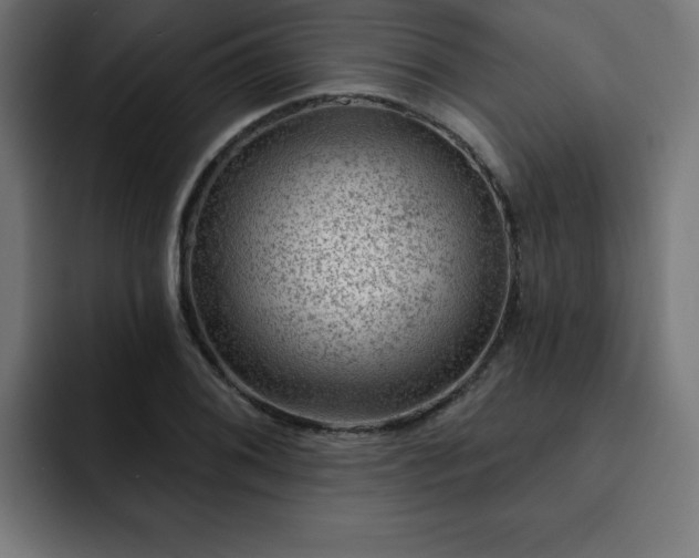 X0000093261076200710031559