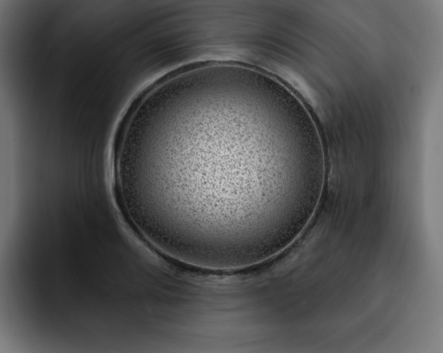 X0000093261080200710031559