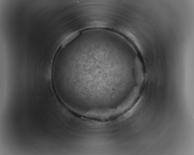 X0000093261081200710031559