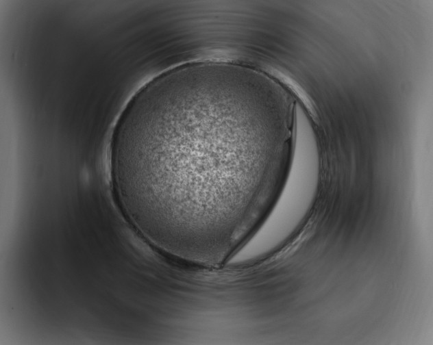 X0000093261083200710031559