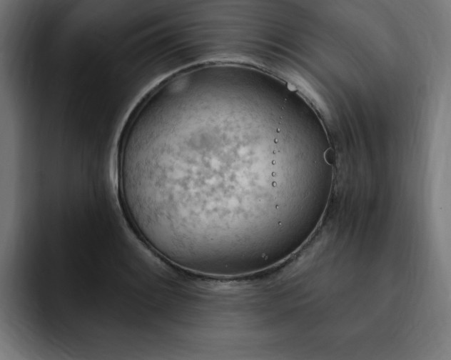 X0000093261084200710031559