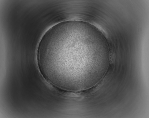 X0000093261086200710031559