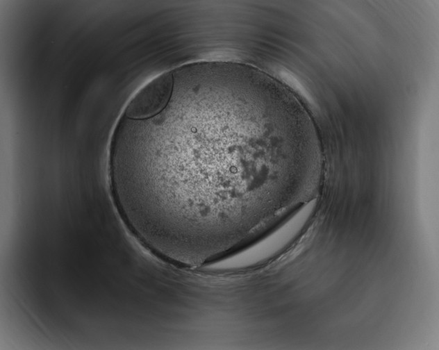 X0000093261087200710031559