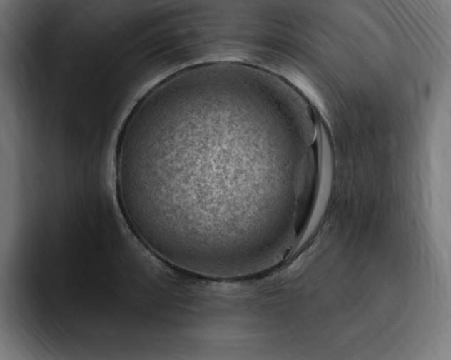 X0000093261088200710031559