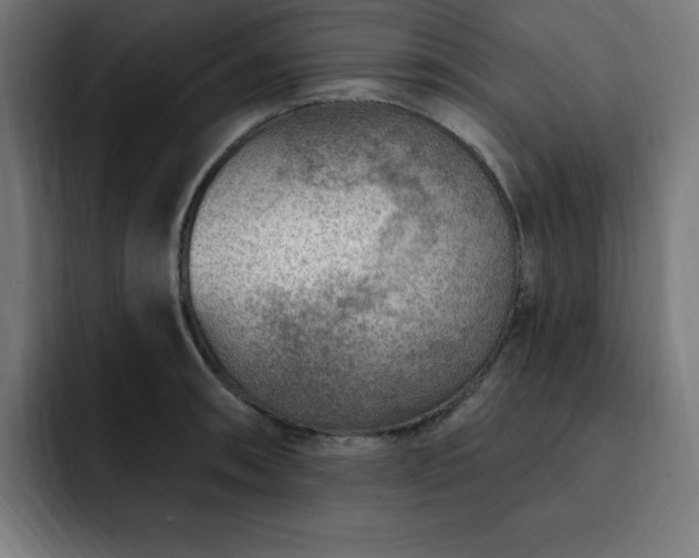 X0000093261090200710031559