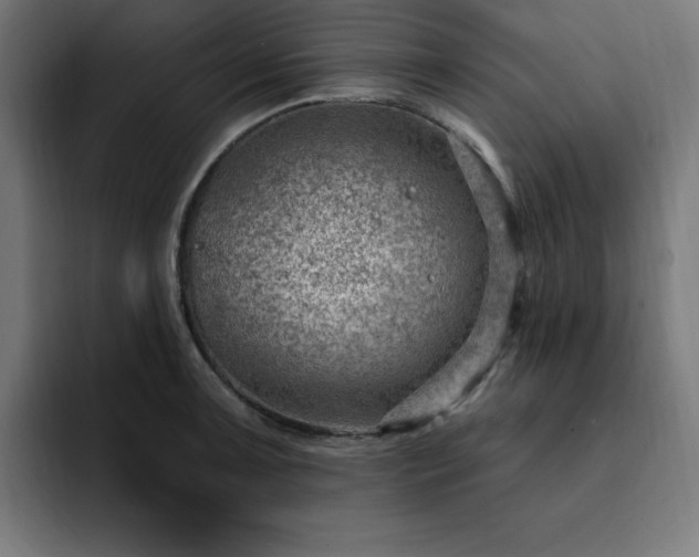 X0000093261091200710031559