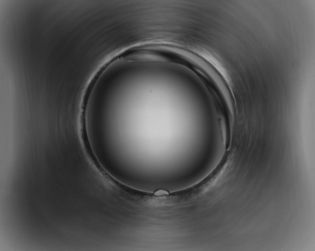 X0000093261093200710031559