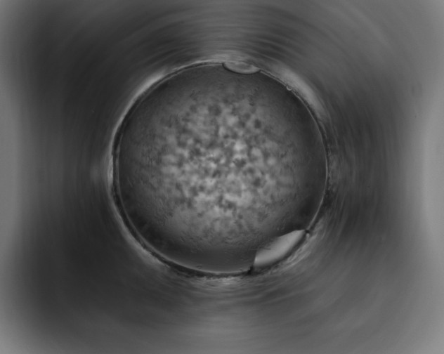 X0000093261095200710031559