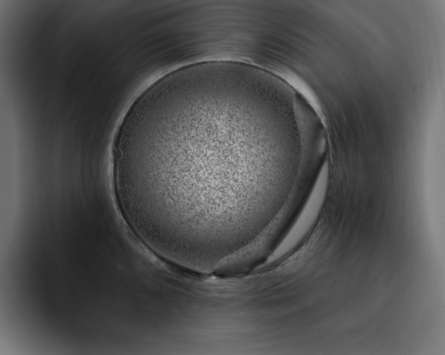 X0000093261096200710031559