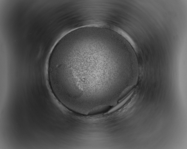 X0000093261099200710031559