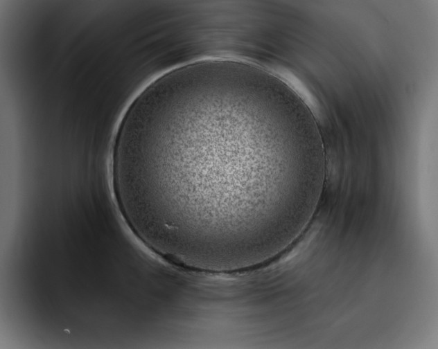 X0000093261100200710031559