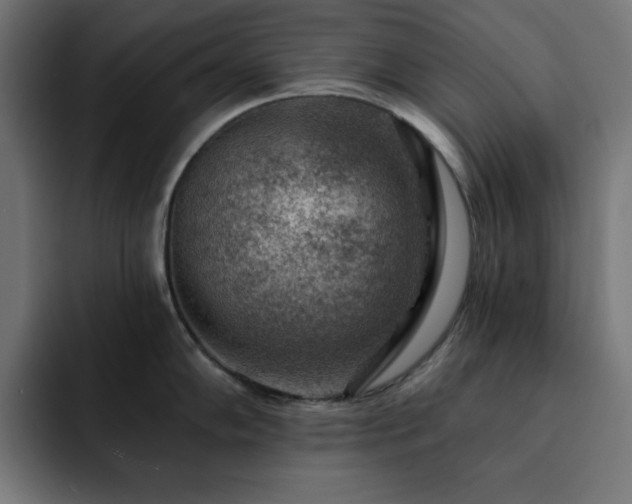 X0000093261102200710031559