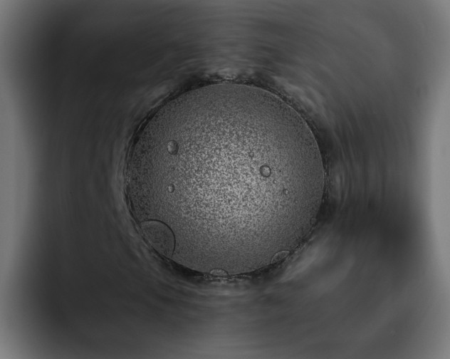 X0000093261105200710031559