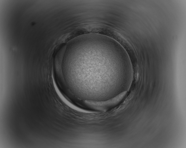 X0000093261108200710031559