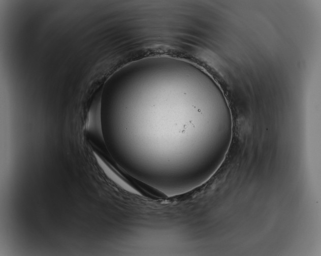 X0000093261111200710031559