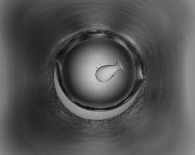 X0000093261112200710031559