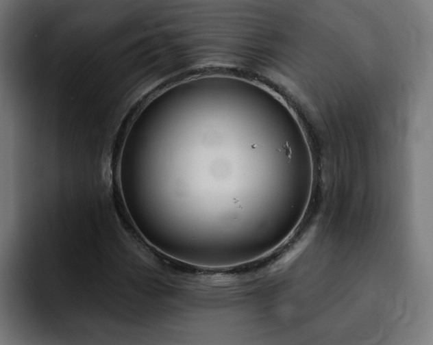 X0000093261113200710031559