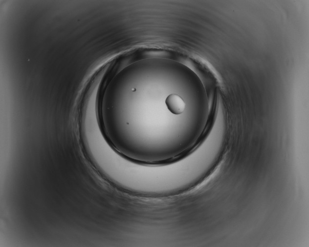 X0000093261114200710031559