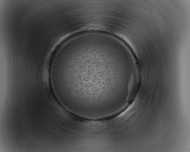 X0000093261115200710031559