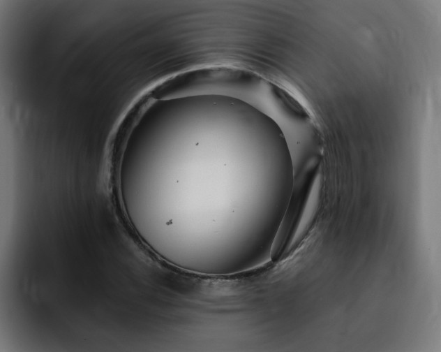 X0000093261116200710031559