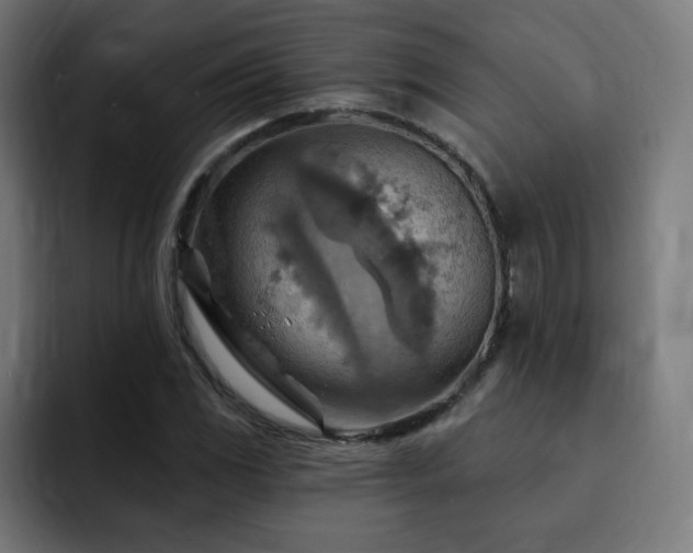 X0000093261117200710031559