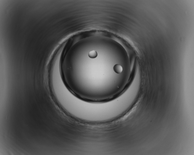 X0000093261118200710031559