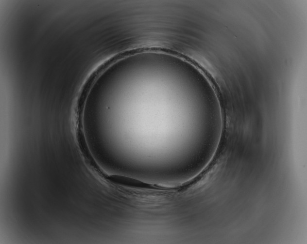 X0000093261119200710031559