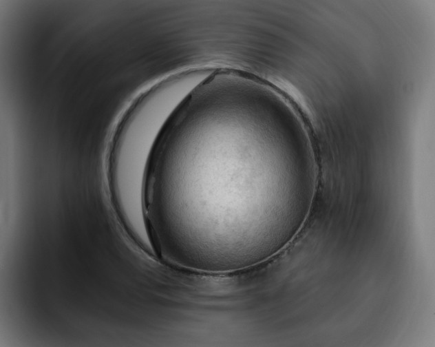 X0000093261120200710031559