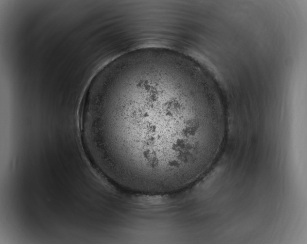 X0000093261121200710031559