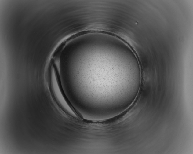 X0000093261123200710031559