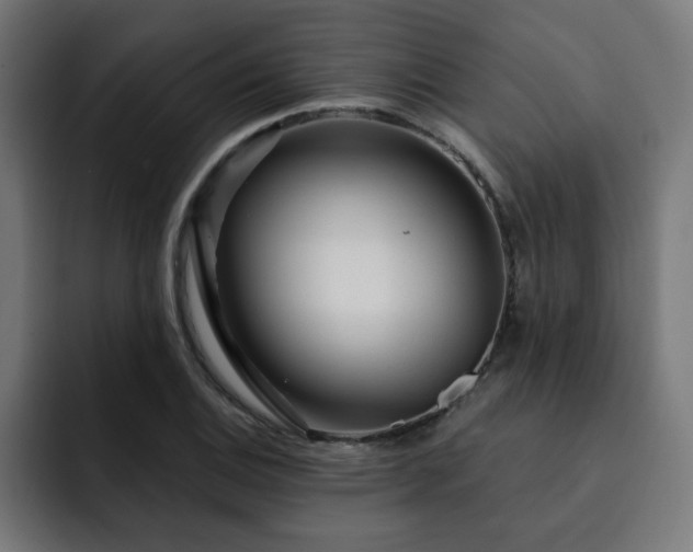 X0000093261124200710031559