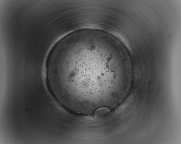 X0000093261125200710031559