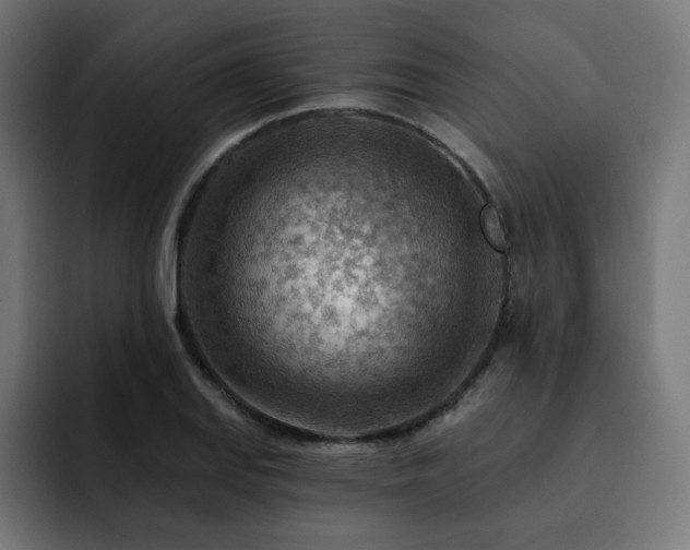 X0000093261127200710031559