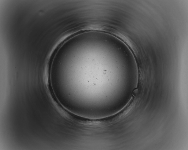 X0000093261131200710031559