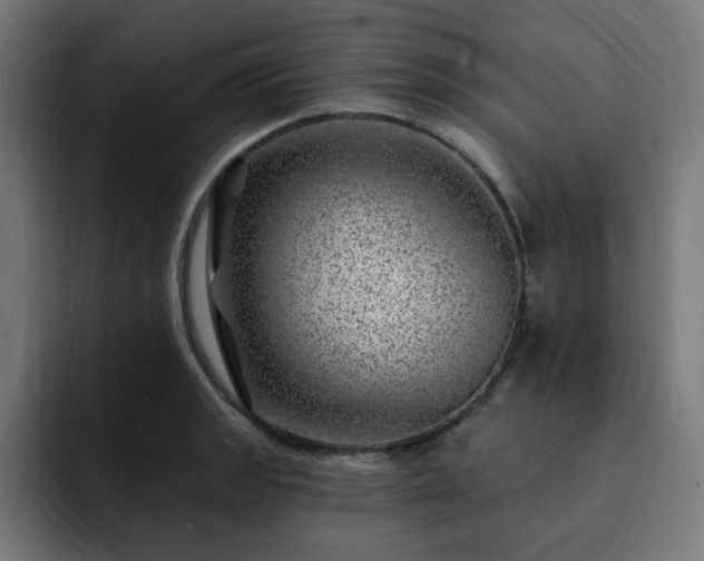 X0000093261133200710031559