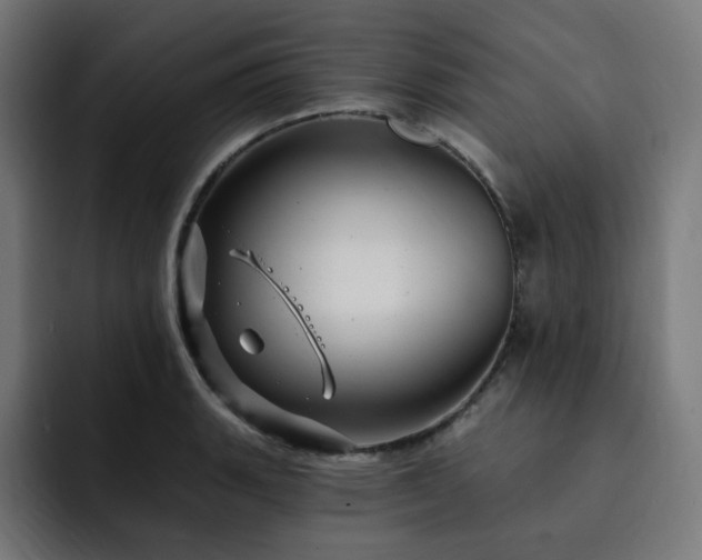 X0000093261135200710031559