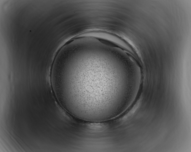 X0000093261137200710031559