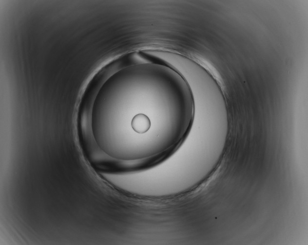 X0000093261138200710031559