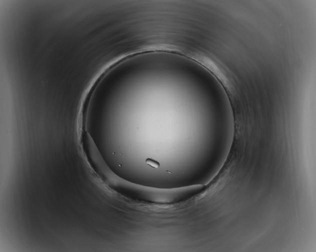 X0000093261140200710031559